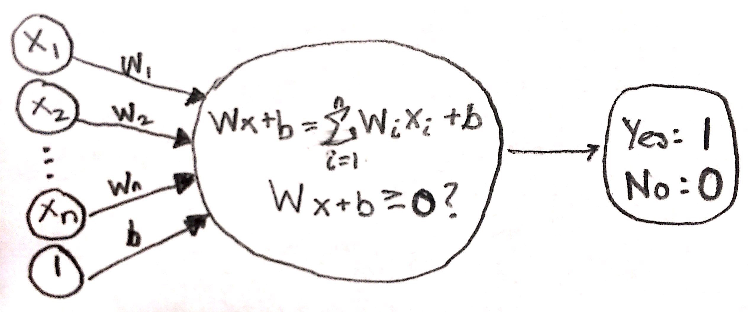 perceptron visualization